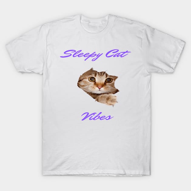 SLEEPY CAT VIBES T-Shirt by HTA DESIGNS